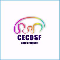 CECOSF, comuna de Victoria, Región de la Araucanía, primera ciudad digitalizada de Chile